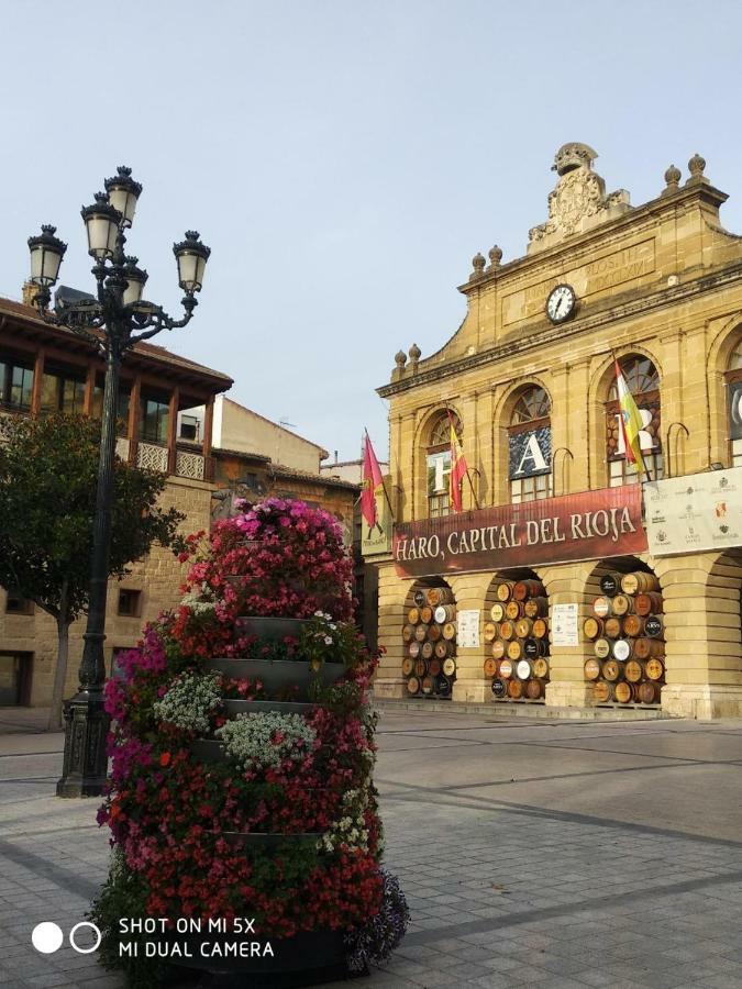 Apartmán Virgen De La Vega Haro Exteriér fotografie